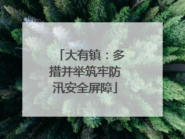 大有镇：多措并举筑牢防汛安全屏障