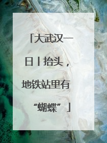 大武汉一日丨抬头，地铁站里有“蝴蝶”