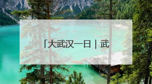 大武汉一日｜武汉地铁上，满满一车全是“宝贝”
