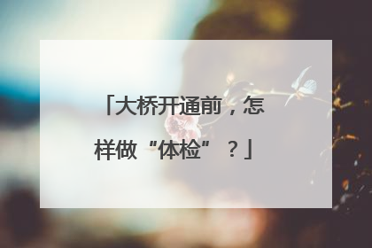 大桥开通前，怎样做“体检”？