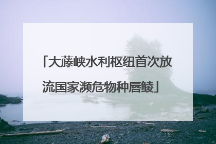 大藤峡水利枢纽首次放流国家濒危物种唇鲮