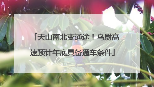 天山南北变通途！乌尉高速预计年底具备通车条件