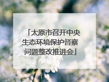 太原市召开中央生态环境保护督察问题整改推进会