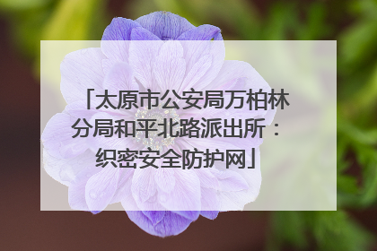 太原市公安局万柏林分局和平北路派出所：织密安全防护网
