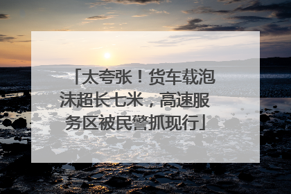 太夸张！货车载泡沫超长七米，高速服务区被民警抓现行