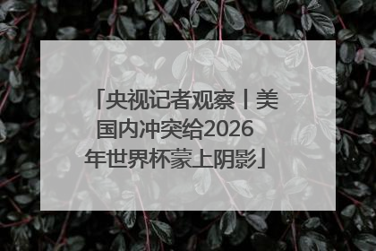 央视记者观察丨美国内冲突给2026年世界杯蒙上阴影