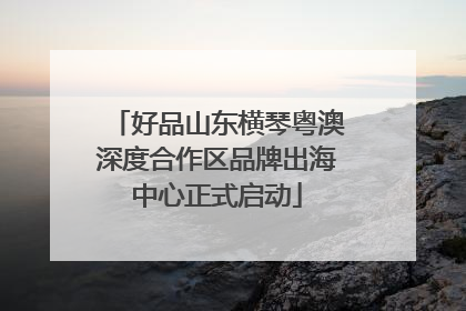 好品山东横琴粤澳深度合作区品牌出海中心正式启动