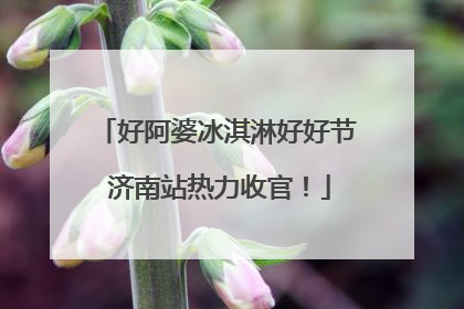 好阿婆冰淇淋好好节 济南站热力收官！