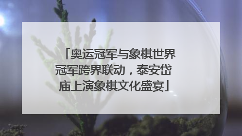 奥运冠军与象棋世界冠军跨界联动，泰安岱庙上演象棋文化盛宴
