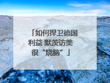 如何捍卫德国利益 默茨访美很“烧脑”