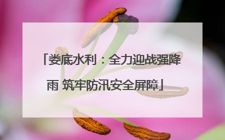 娄底水利：全力迎战强降雨 筑牢防汛安全屏障