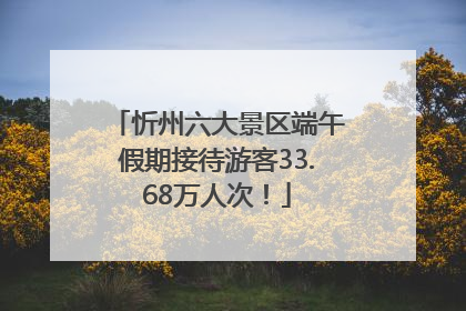 忻州六大景区端午假期接待游客33.68万人次！
