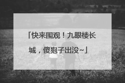 快来围观！九眼楼长城，傻狍子出没~
