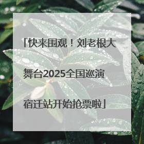 快来围观！刘老根大舞台2025全国巡演宿迁站开始抢票啦