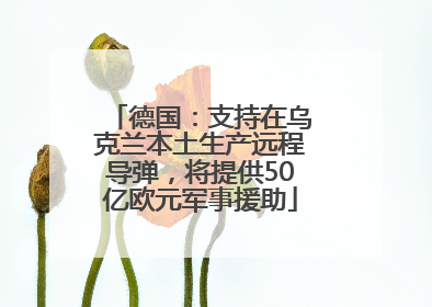 德国：支持在乌克兰本土生产远程导弹，将提供50亿欧元军事援助