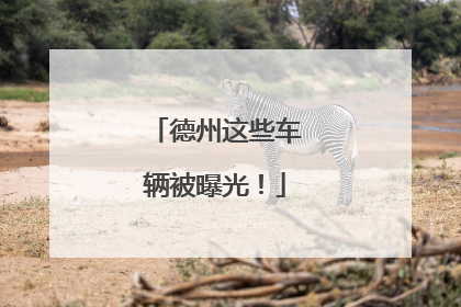 德州这些车辆被曝光！