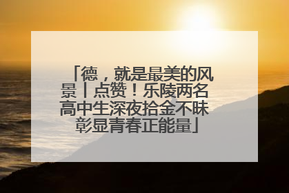 德，就是最美的风景丨点赞！乐陵两名高中生深夜拾金不昧 彰显青春正能量