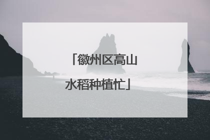 徽州区高山水稻种植忙