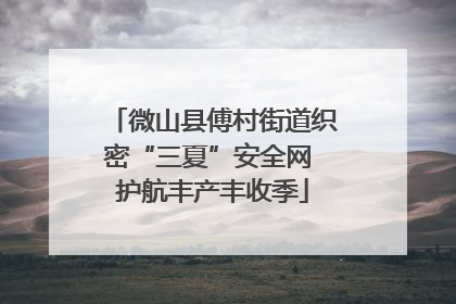 微山县傅村街道织密“三夏”安全网 护航丰产丰收季