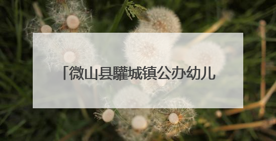微山县驩城镇公办幼儿园开展期末业务检查