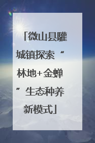 微山县驩城镇探索“林地+金蝉”生态种养新模式
