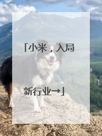小米，入局新行业→