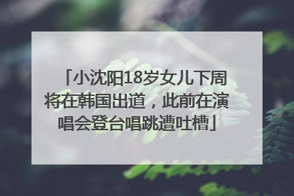 小沈阳18岁女儿下周将在韩国出道，此前在演唱会登台唱跳遭吐槽