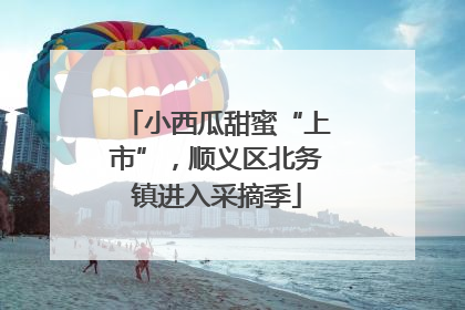 小西瓜甜蜜“上市”，顺义区北务镇进入采摘季