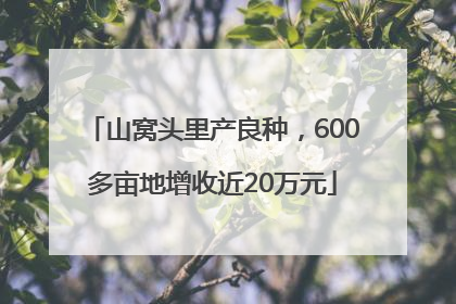 山窝头里产良种，600多亩地增收近20万元