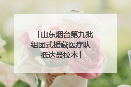 山东烟台第九批组团式援藏医疗队抵达聂拉木