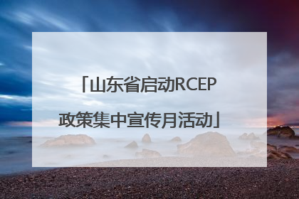 山东省启动RCEP政策集中宣传月活动