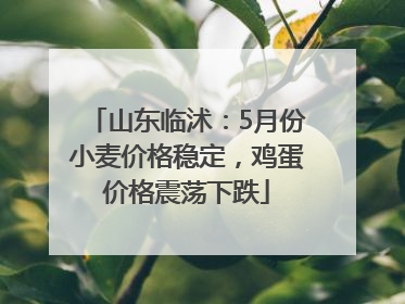 山东临沭：5月份小麦价格稳定，鸡蛋价格震荡下跌