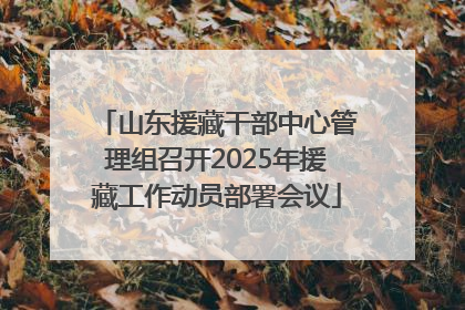 山东援藏干部中心管理组召开2025年援藏工作动员部署会议
