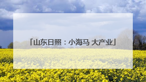 山东日照：小海马 大产业