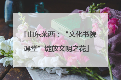 山东莱西：“文化书院课堂”绽放文明之花