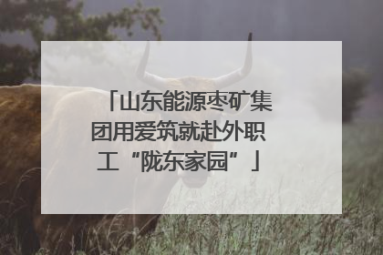 山东能源枣矿集团用爱筑就赴外职工“陇东家园”