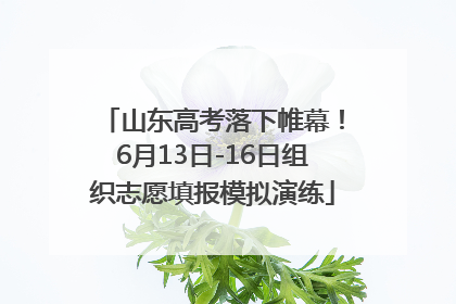 山东高考落下帷幕！6月13日-16日组织志愿填报模拟演练
