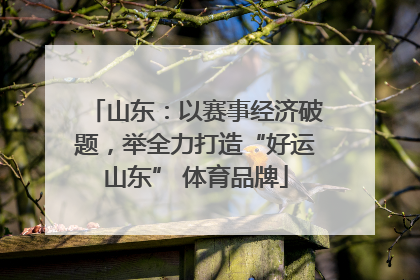 山东：以赛事经济破题，举全力打造“好运山东” 体育品牌