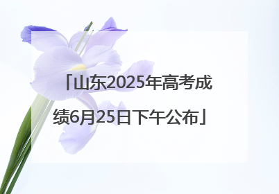 山东2025年高考成绩6月25日下午公布