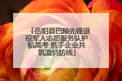岳阳县巴陵先锋退役军人志愿服务队护航高考 携手企业共筑温情防线