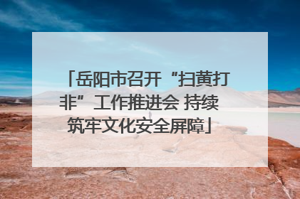 岳阳市召开“扫黄打非”工作推进会 持续筑牢文化安全屏障