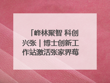 峰林聚智 科创兴张｜博士创新工作站激活张家界莓茶产业新动能