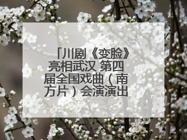 川剧《变脸》亮相武汉 第四届全国戏曲（南方片）会演演出过半频掀热潮