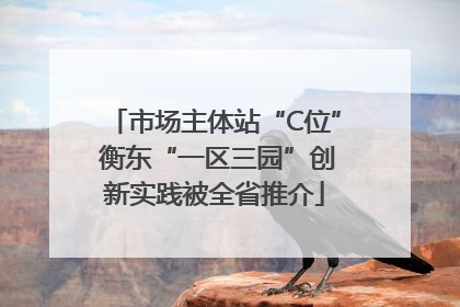 市场主体站“C位” 衡东“一区三园”创新实践被全省推介