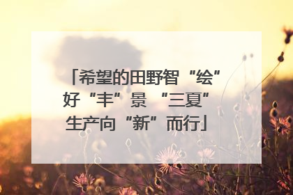 希望的田野智“绘”好“丰”景 “三夏”生产向“新”而行