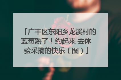 广丰区东阳乡龙溪村的蓝莓熟了！约起来 去体验采摘的快乐（图）