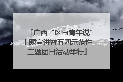 广西“区直青年说”主题宣讲暨五四示范性主题团日活动举行