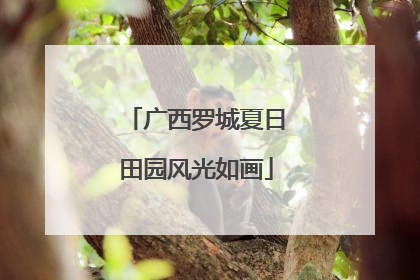 广西罗城夏日田园风光如画