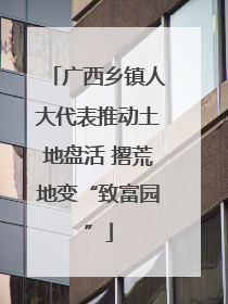 广西乡镇人大代表推动土地盘活 撂荒地变“致富园”