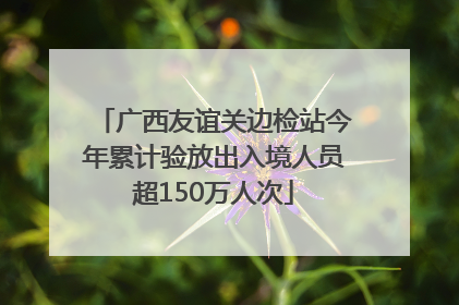 广西友谊关边检站今年累计验放出入境人员超150万人次